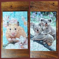 Kleine Puzzles Koala & Hamster