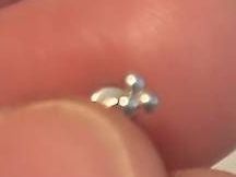 Gioielli per piercing: Weissgold Piercing neu – Nuovo e nell'imballaggio originale da Spreitenbach venduto da seida76 2