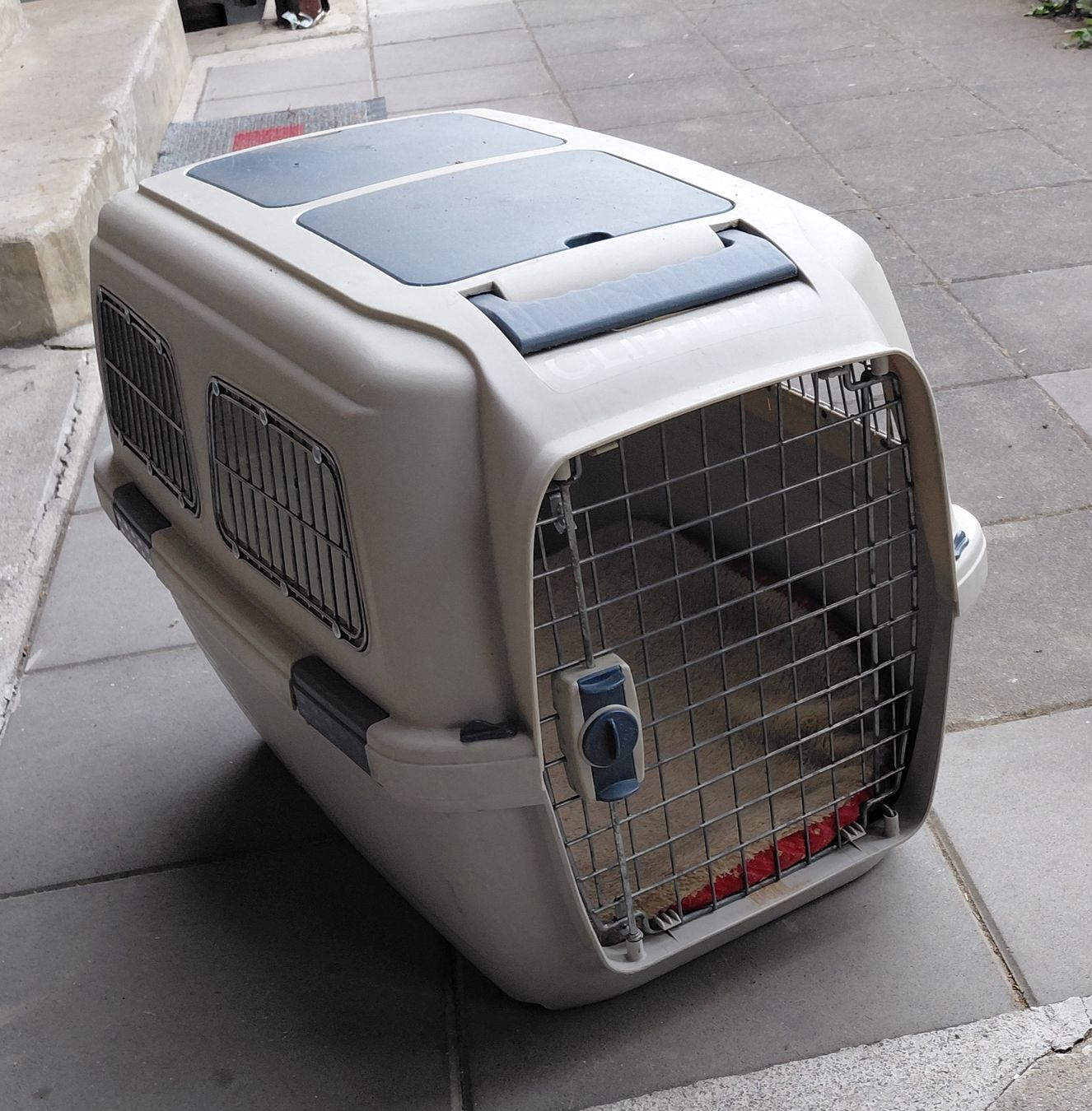 Cages, transport & sécurité: Hundebox 67x48xh50 – D'occasion à zuchwil par parson65