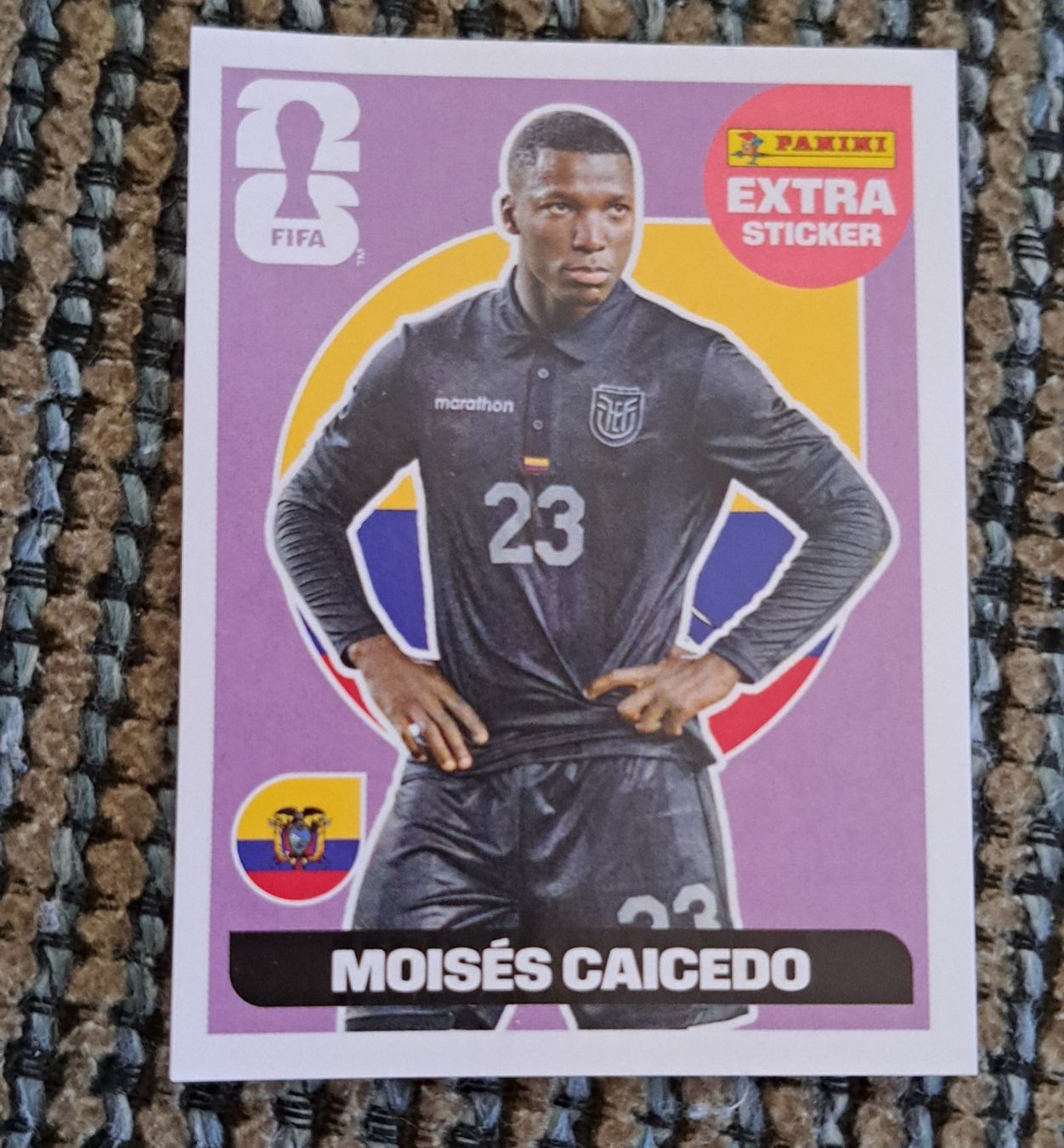 Panini Cartes à collectionner: Panini Extra Sticker Moises Caicedo Ecuador Neu – D'occasion à Mosnang par Stoppel