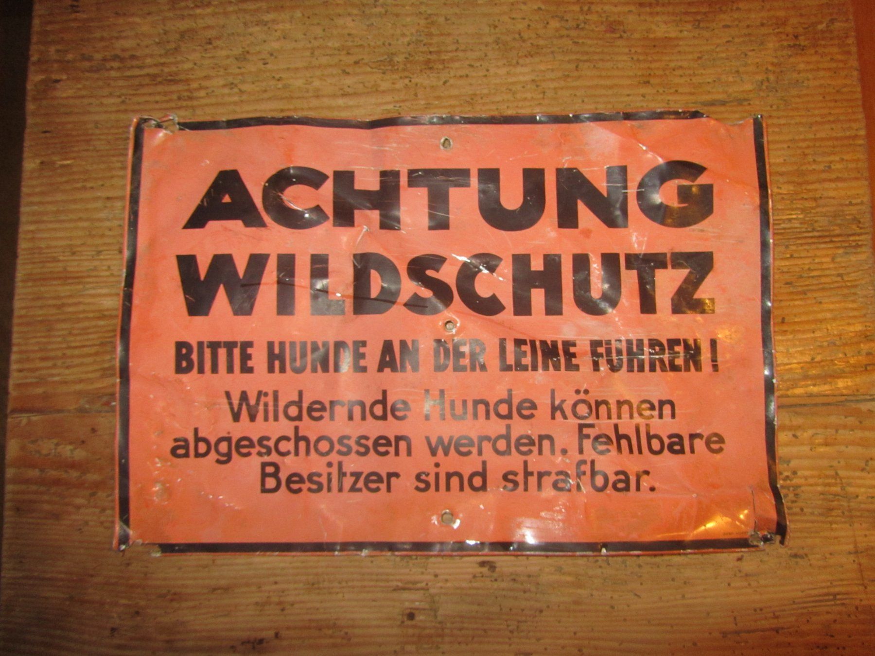 Schilder: Blechschild - ACHTUNG WILDSCHUTZ – Gebraucht aus Seengen von mikelele 3