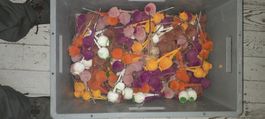 Restposten Mohn Blumen Stecker Pos.3