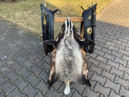 1 Paar original Appenzeller Fuhrkummete mit Dachsfell