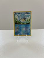 Pokemon karte Squirtle 14/101