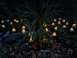 witzige LED Pilze für Garten oder Balkon, Solarbetrieben
