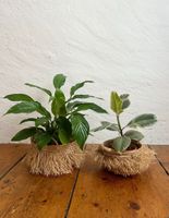 Zwei Bastkorb Blumenübertop