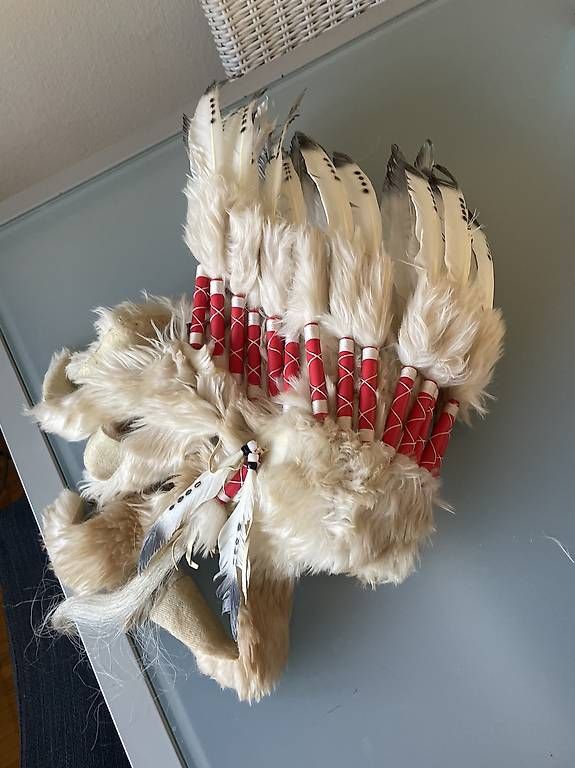 Costumi: Fastnachtskleider indianer Kopfschmuck  – Usato da Luzern venduto da jak_xx9s
