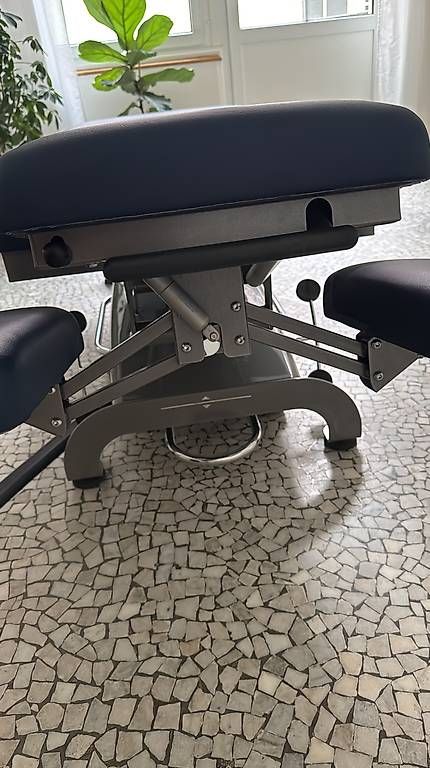Liegen & Liegestühle: Massageliege Novak – Gebraucht aus Bern von figureskater 1