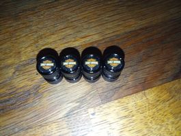 Ventilkappen Harley-Davidson 4 Stk. neu, inkl. ein Model