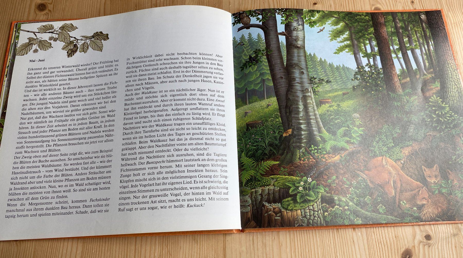 Livres: Irmgard Lucht: die Wald-Uhr – D'occasion à Weinfelden par Cheyenne21 9