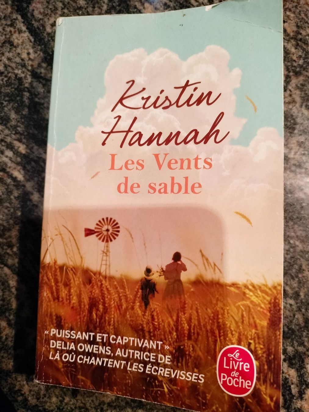 Libri: Les Vents de sable Kristin Hannah – Usato da Cortaillod venduto da rozinna