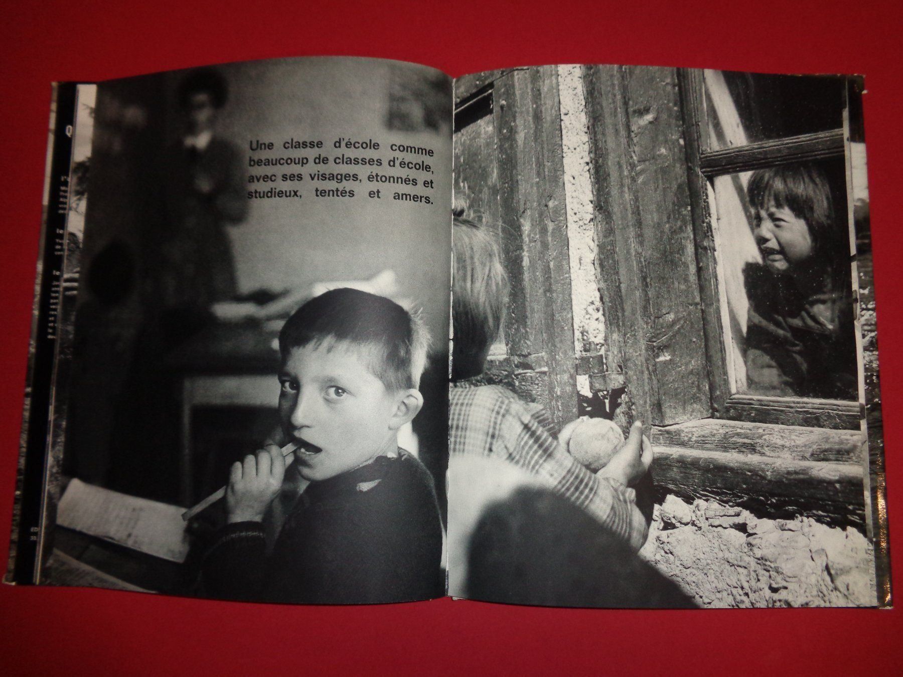 Libri: YVAN Dalain Fotobuch Le Queyras – Usato da Welschenrohr venduto da Regool 7