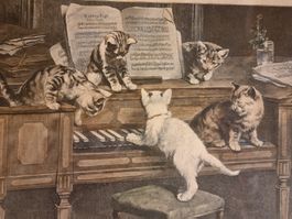 Antiker Holzstich 1895 – C. Reichert „Katzenfuge“
