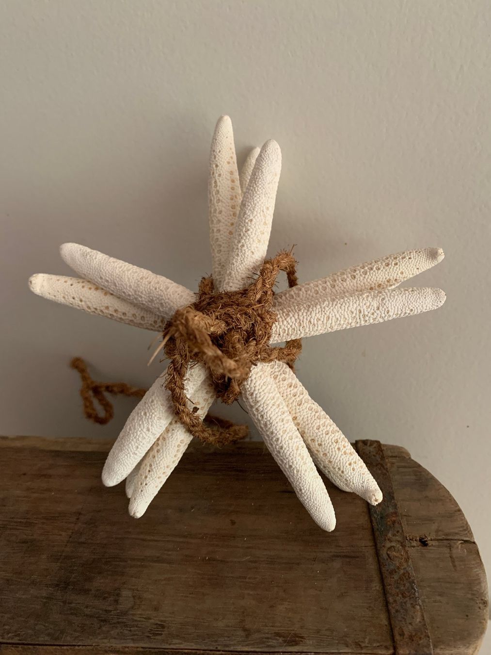Alle Dekorationen: maritime Deko, Seesternbündel, starfish – Gebraucht aus St. Gallen von Miousch 2