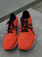asics NOVABLAST TOKYO EURO 49 (31 cm)