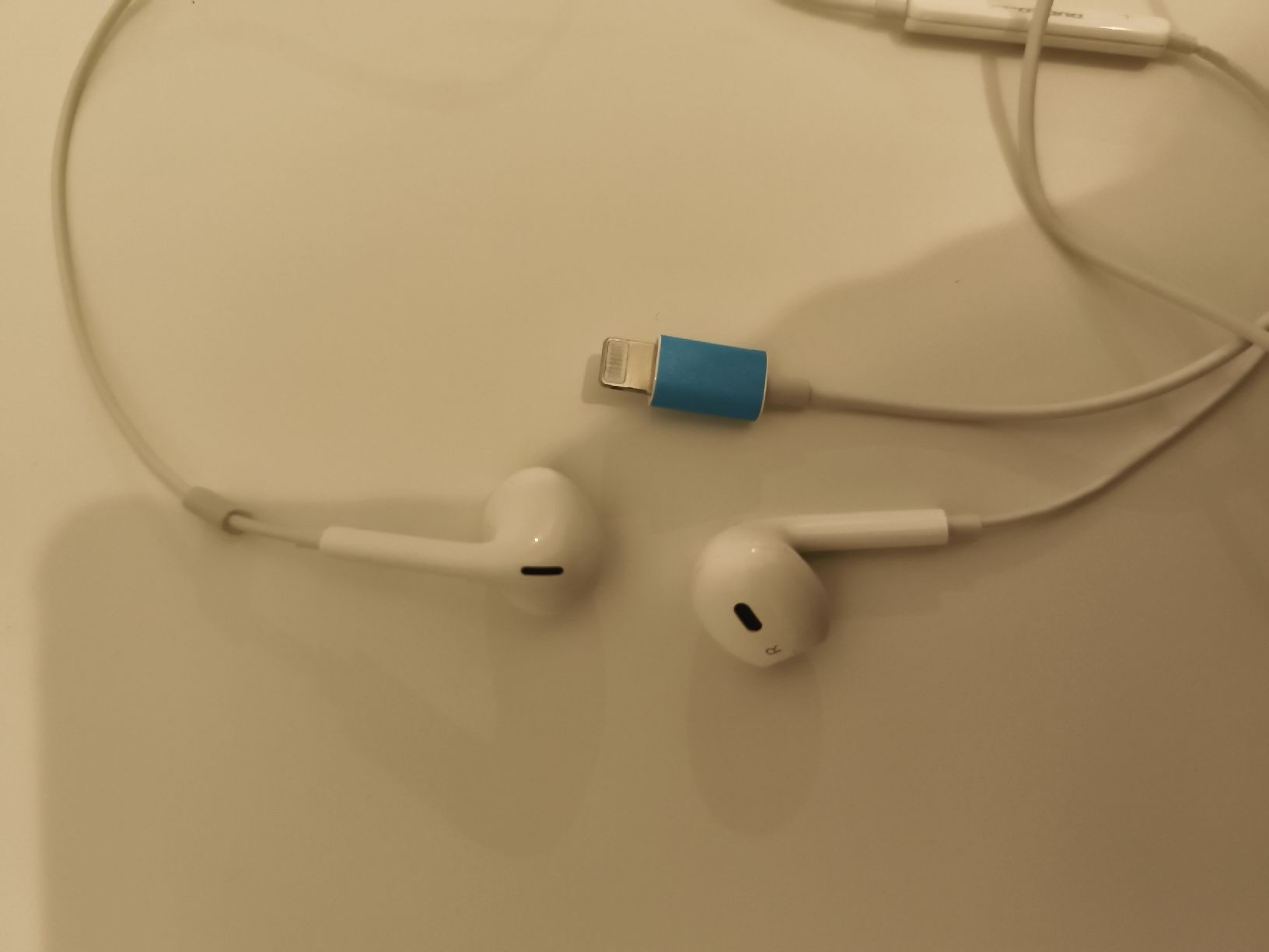 Cuffie: Écouteurs filaires - Connexion Lightning – Nuovo (secondo la descrizione) da Bern venduto da nat_6ykd 2