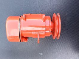 Lichtmaschine Bucher Traktor
