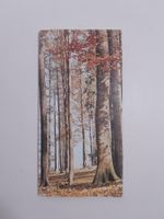 Vintage Ratgeber / Buch - Waldlehrpfade Stadt Zürich - 1973