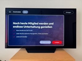 Fernseher LG OLED55BX6LB