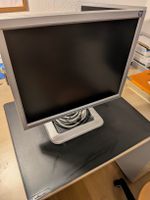 Samsung Bildschirm 213T