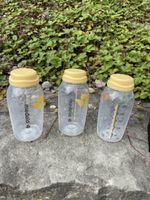 Medela Milchflaschen-Kühlbeutel mit 4 Flaschen Zustand gut