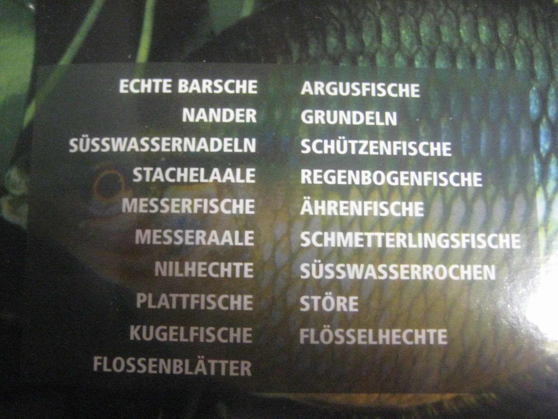 Libri: GROSSER SAMMEL  ORTNER  AQUARIUM – Nuovo (secondo la descrizione) da Uster venduto da flocke1 3
