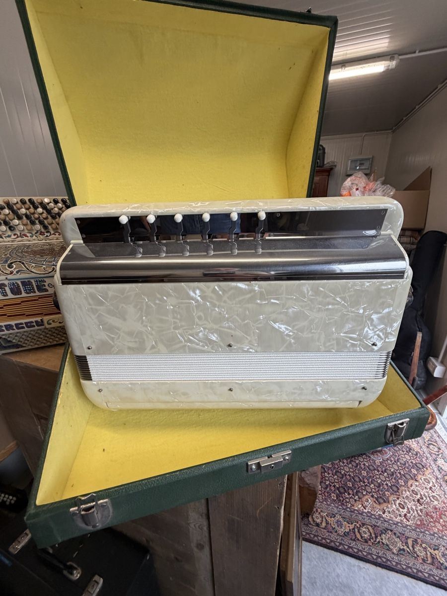 Strumenti musicali: Cavagnolo  – Usato da Füllinsdorf venduto da MiGeiss64 2