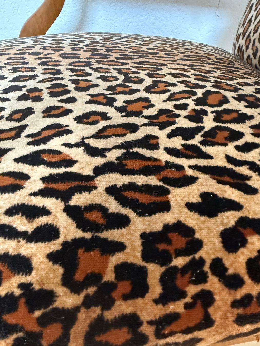Poltrone: Sessel Holz mit Leopardenmuster – Usato da Russikon venduto da manureloop 2