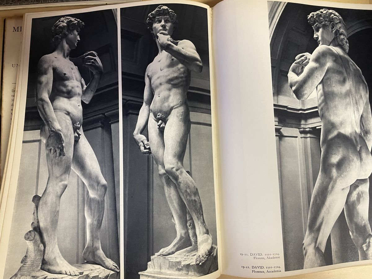 Libri: Michelangelo - Vollständige Ausgabe, Goldscheider – Usato da Wyssachen venduto da Hahe89 5