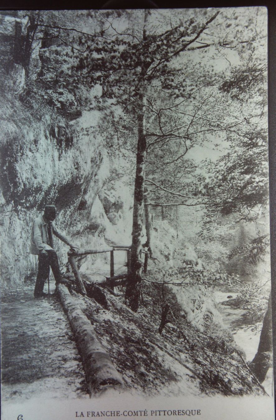 Cartoline postali: Le doubs au chatelot – Usato da Le Locle venduto da Roger46