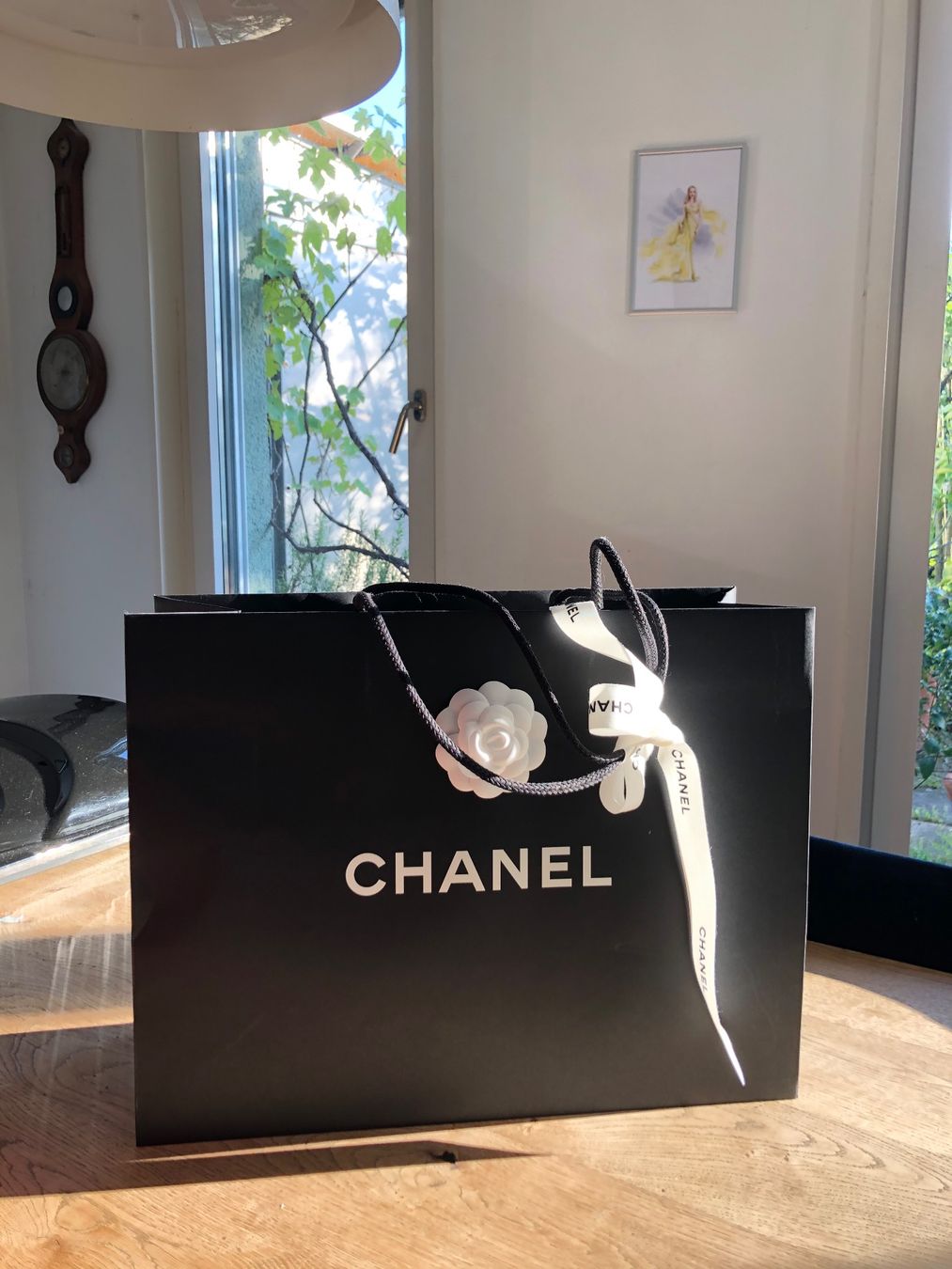 Chanel Taschen für Damen: Chanel bag – Neu und originalverpackt aus Zürich von Aemilia82 1