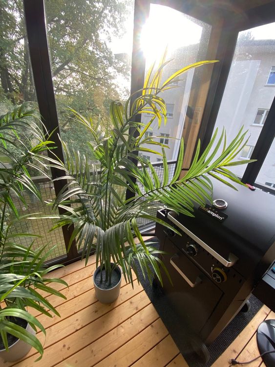 2 Ikea fake Palmen Kaufen auf Ricardo