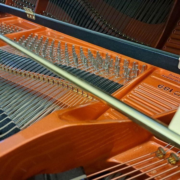 Strumenti musicali: C 189 schwarz poliert - Ausstellungsmodell – Nuovo (secondo la descrizione) da Ittigen venduto da KrompholzMusik 5