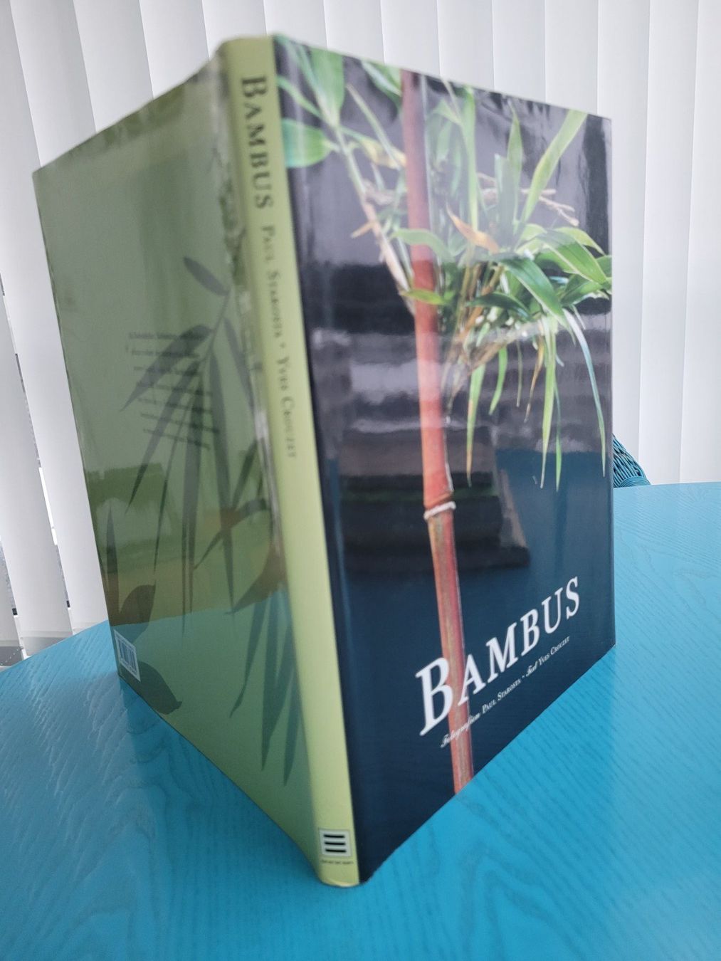 Libri: Bambus – Usato da SCHÜBELBACH venduto da CoKaHa 1