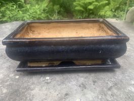 Bonsaischale mit Untersetzer, Masse: 23x14x8 cm