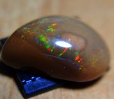 Faszinierender Opal aus Mexico