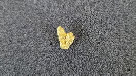 Goldnugget Ohrstecker
