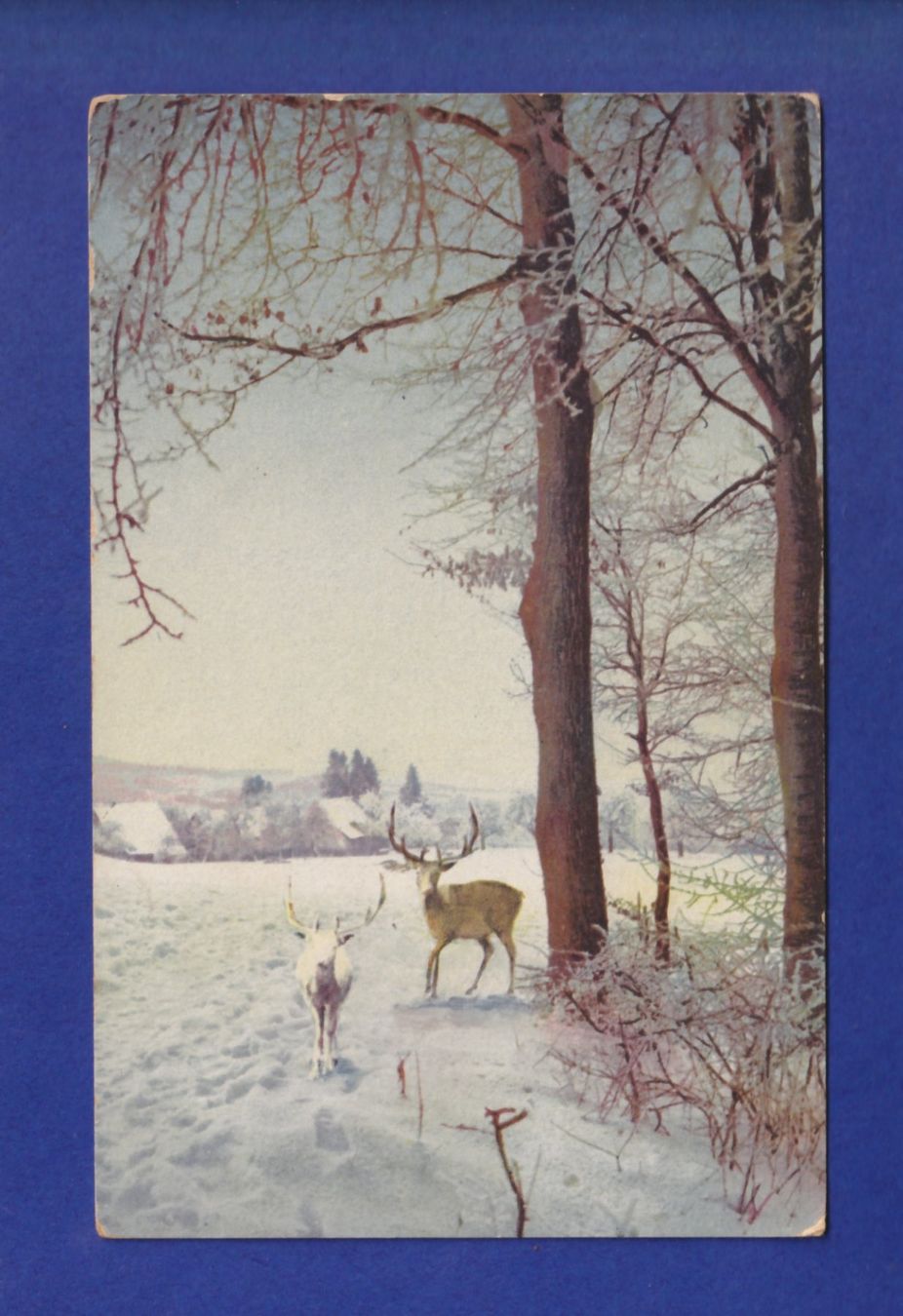 Ansichtskarten: CERF – Gebraucht aus Pully von nicecards-shop