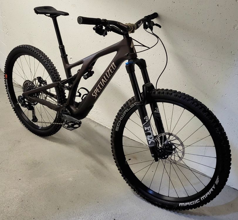 Specialized Stumpjumper Evo Customized Gr. L 7