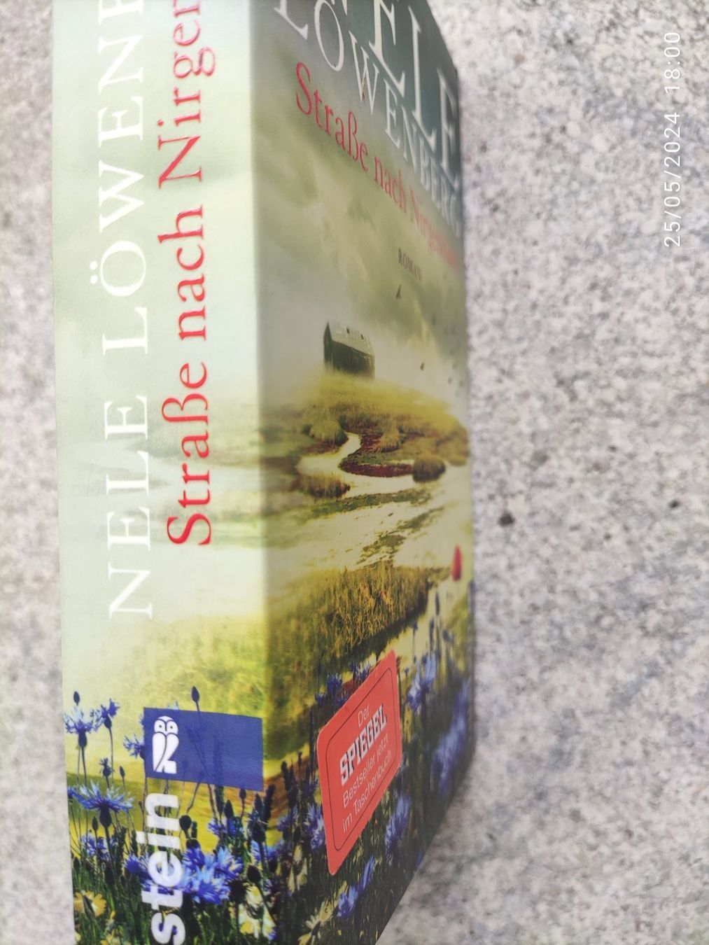 Libri: Nele Löwenberg Straße nach Nirgendwo – Usato da Basel venduto da Alacant 2