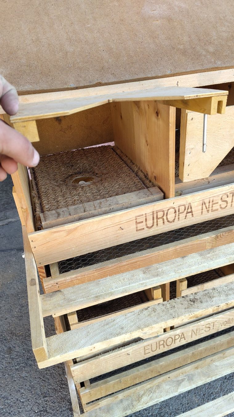 Gabbie, trasporto & Sicurezza: Pondoir Europa – Usato da Corban venduto da jonathan2826 4