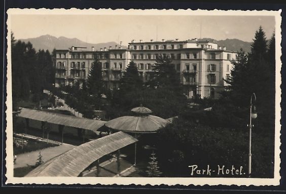 Cartoline postali: AK Flims, Park-Hotel mit Garten – Usato da Berlin venduto da bartko-reher