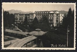AK Flims, Park-Hotel mit Garten