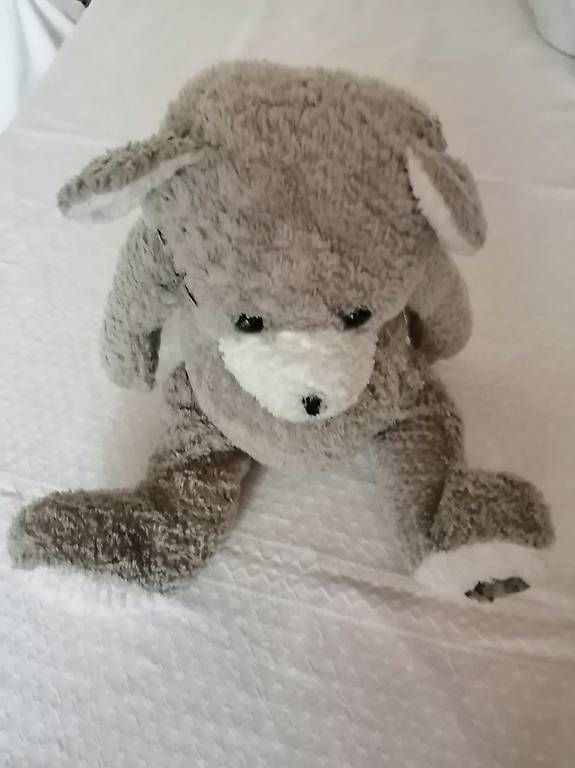 Jouets: Teddybär – D'occasion à Honau par holunder3