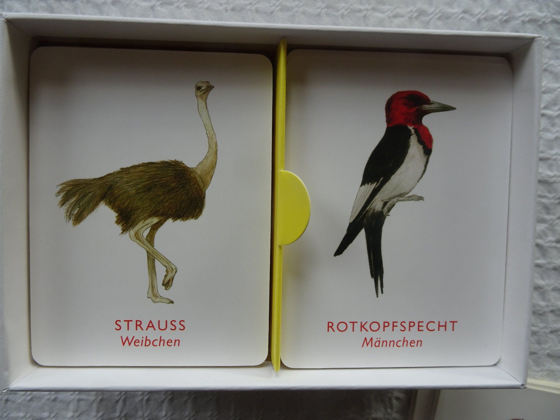 Giochi: Vogelpaare - Memo-Spiel – Nuovo (secondo la descrizione) da männedorf venduto da purzelchen 5
