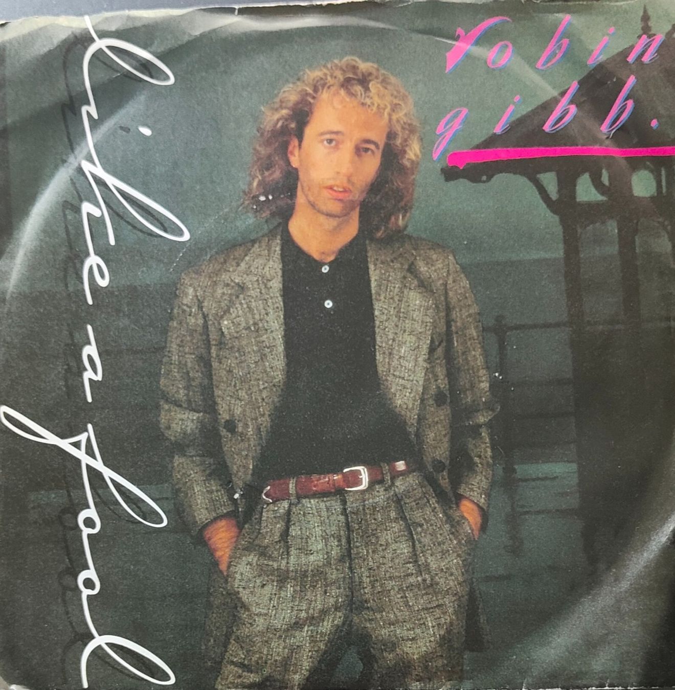 Dischi in vinile: Vinyl-Single Robin Gibb - Like A Fool – Usato da Langenthal venduto da Modo39