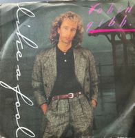 Vinyl-Single Robin Gibb - Like A Fool