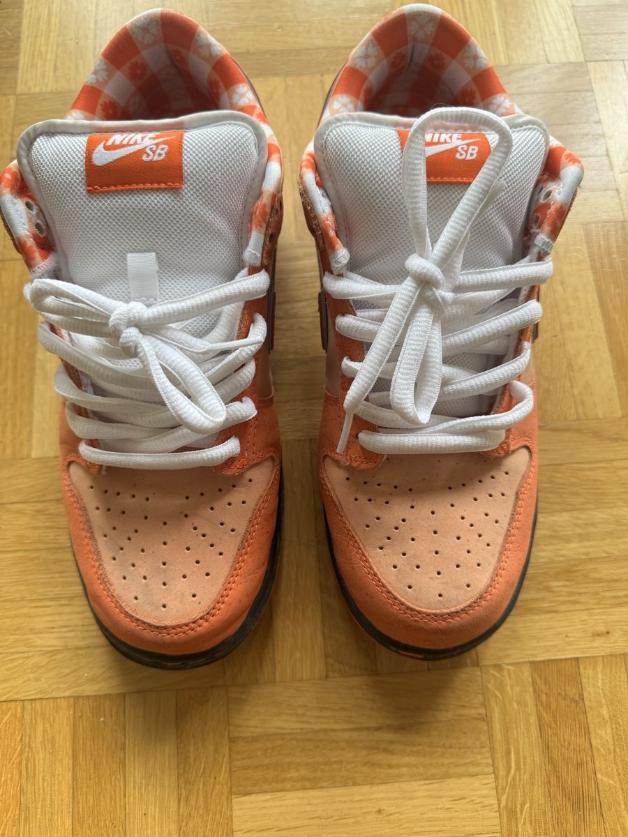 Chaussures hommes: Dunk low sb lobster orange – D'occasion à Genève par mat_2vps 3