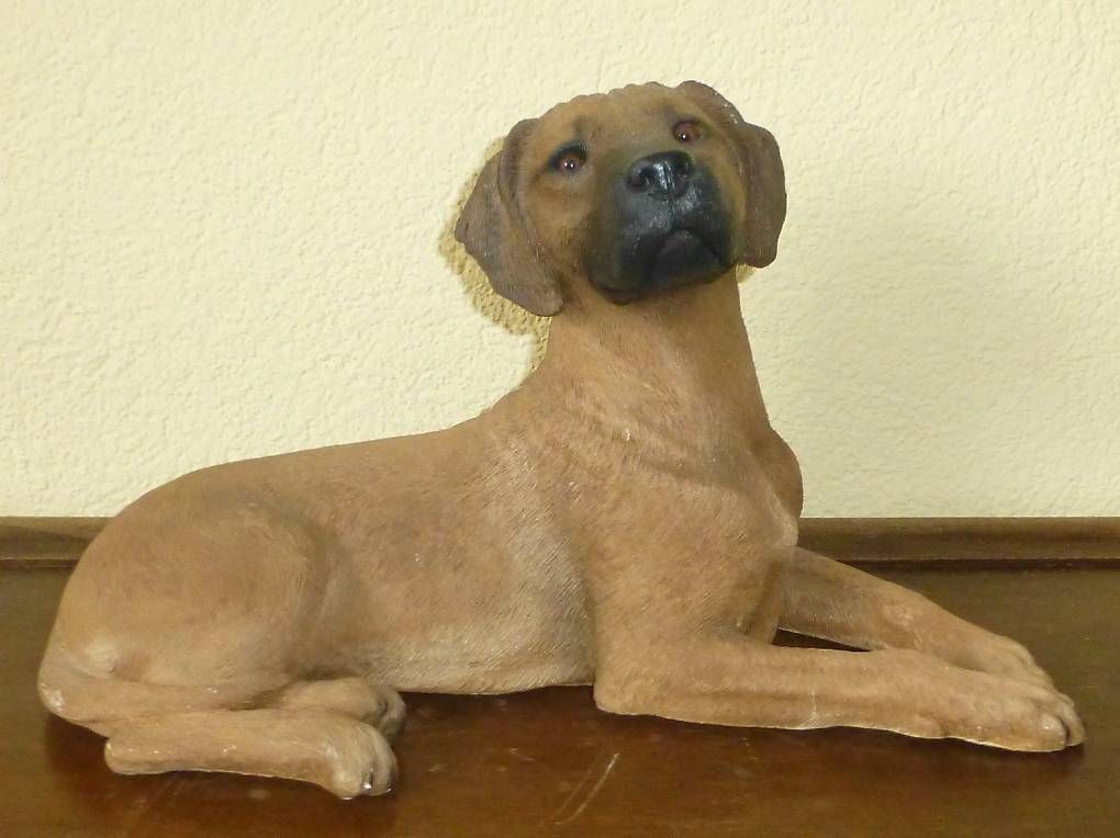 Statuette: Rhodesian Ridgeback Sandicast Figur Hund – Nuovo (secondo la descrizione) da Reinach BL venduto da Spider63