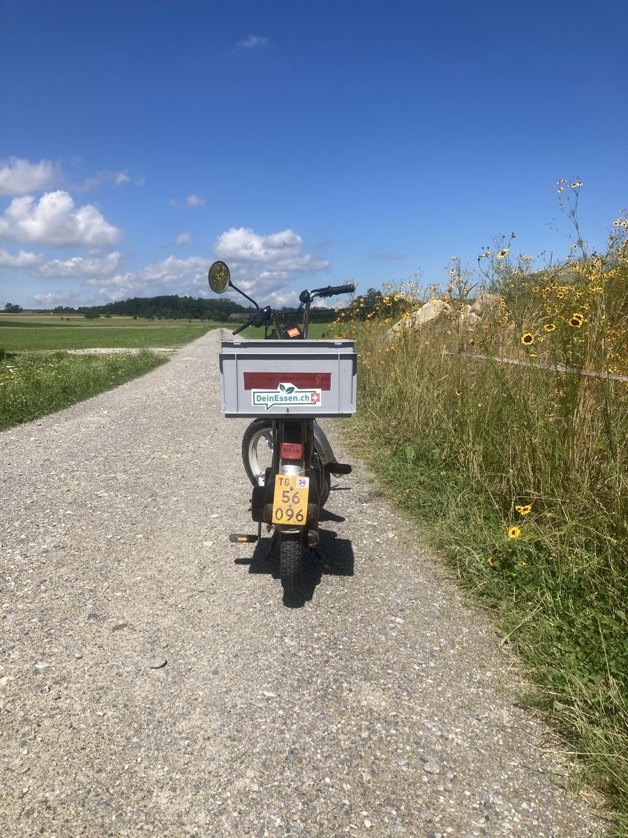 Piaggio Ciclomotori: Mofa Piaggio Ciao – Usato da Illighausen venduto da stockerjoel 1